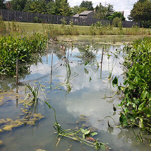 Existing Detention Basins Evaluations (CIP 610-792), Columbus, OH