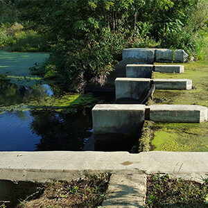 Hills Pond Dam Remediation, Portage County, OH