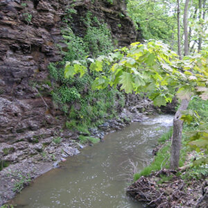 Leveque Tract, Franklin County, OH