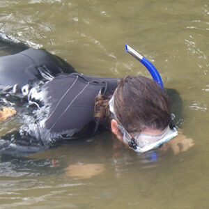 Salt Creek Restoration, Vinton County, OH