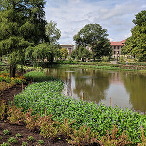 OSU Mirror Lake Study & Restoration