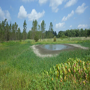 Little Scioto Mitigation Bank
