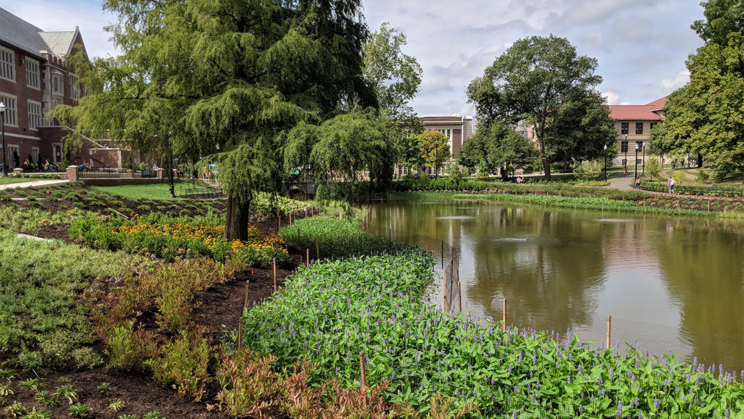 The Ohio State University Mirror Lake Restoration